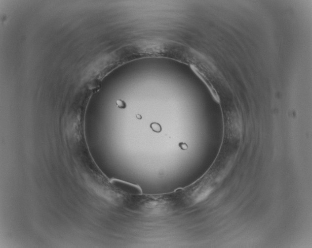 X0000071960364200607141440