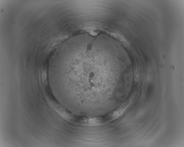 X0000071960365200607141440