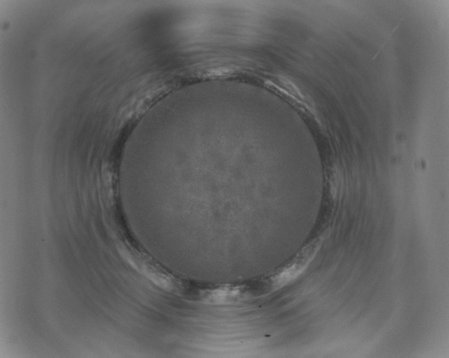 X0000071960366200607141440