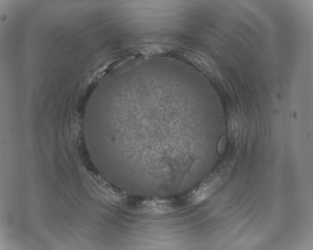 X0000071960367200607141440