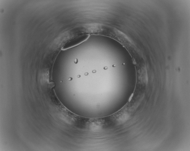 X0000071960368200607141440