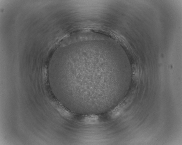 X0000071960369200607141440