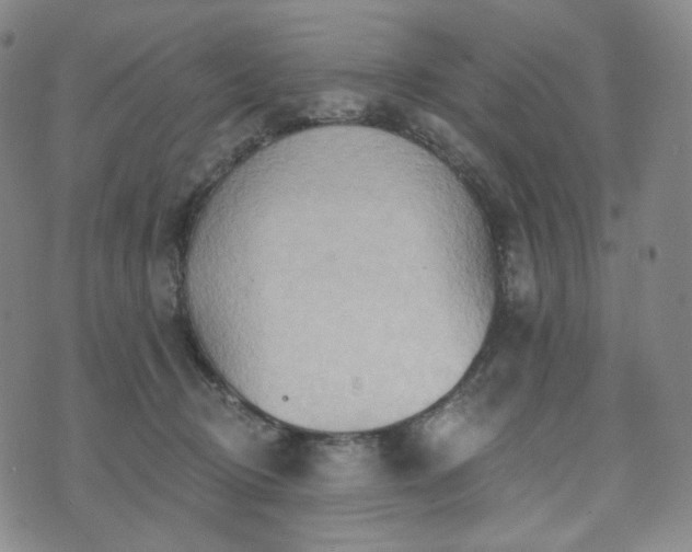 X0000071960370200607141440