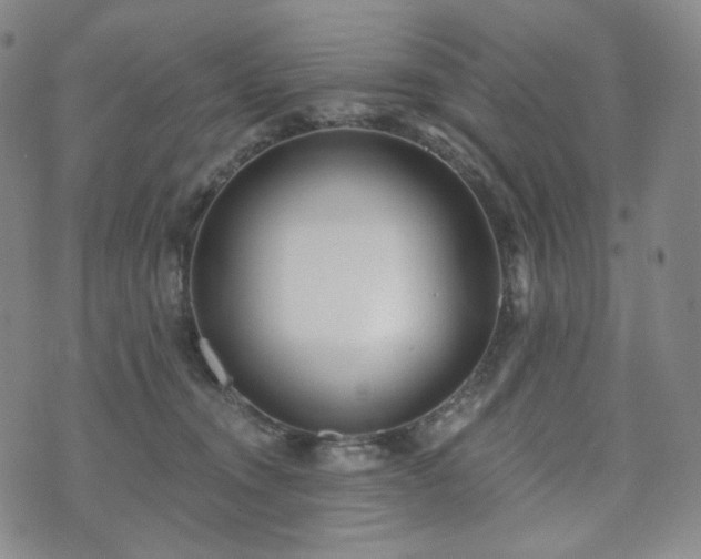 X0000071960372200607141440