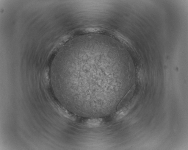 X0000071960373200607141440