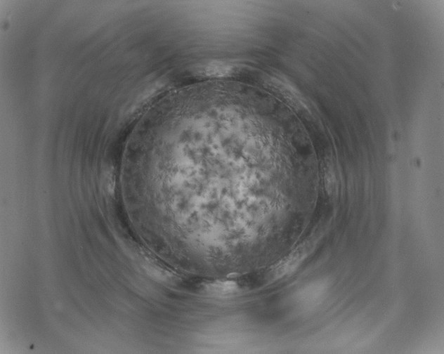 X0000071960374200607141440