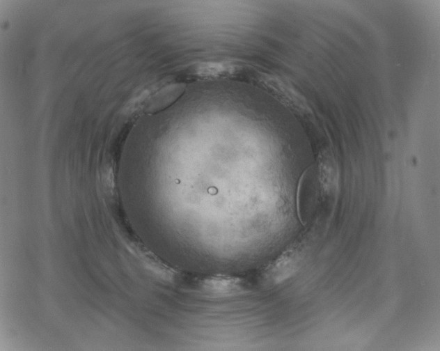 X0000071960375200607141440