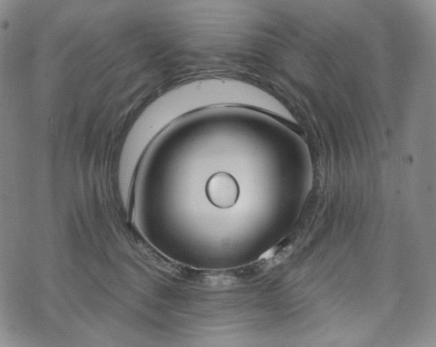 X0000071960376200607141440