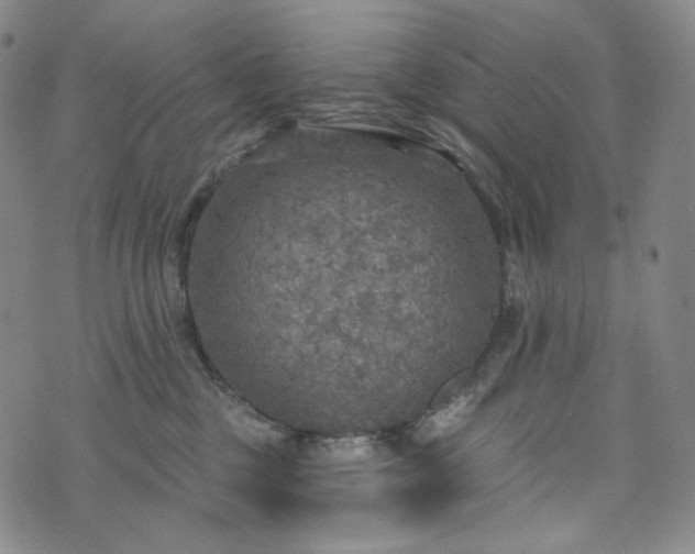 X0000071960377200607141440