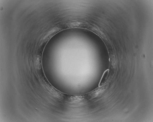 X0000071960378200607141440