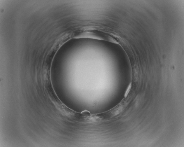 X0000071960379200607141440