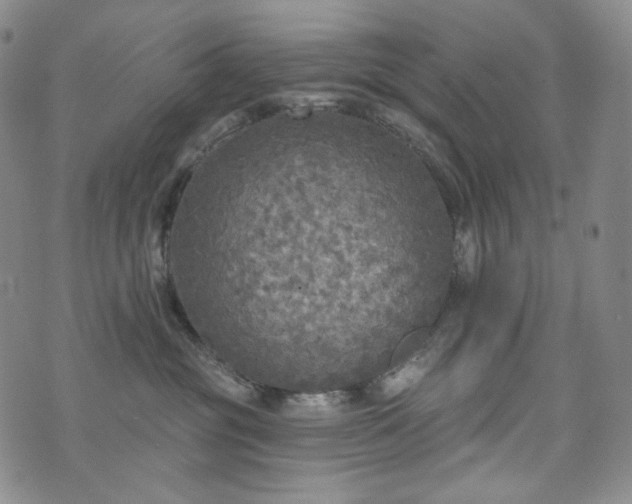 X0000071960381200607141440