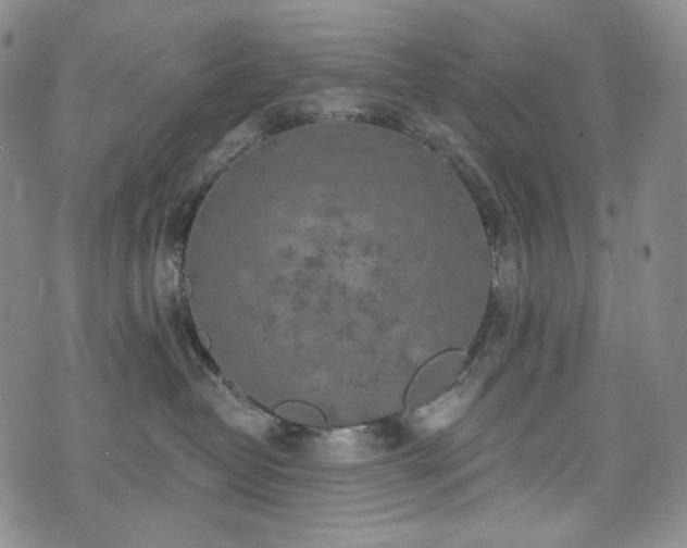 X0000071960382200607141440