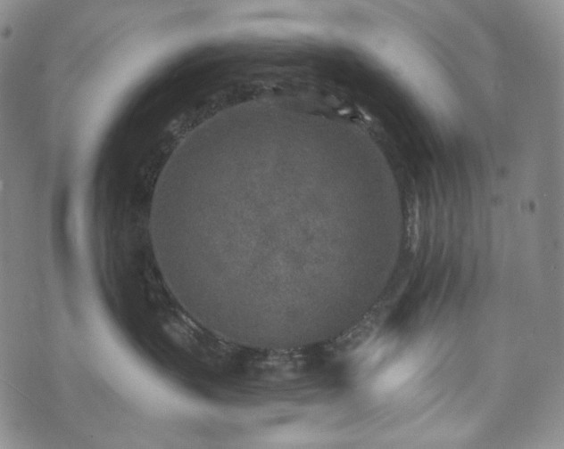 X0000071960383200607141440