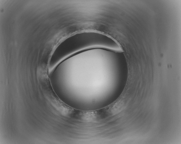 X0000071960384200607141440