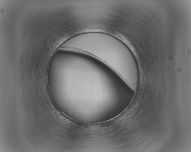 X0000071960385200607141440