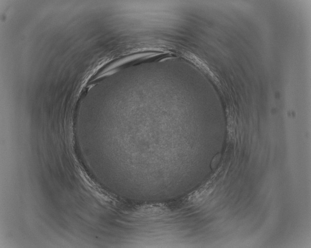 X0000071960386200607141440