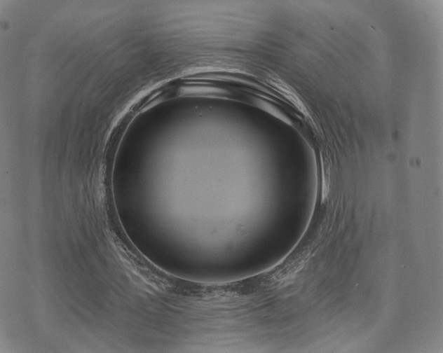 X0000071960387200607141440