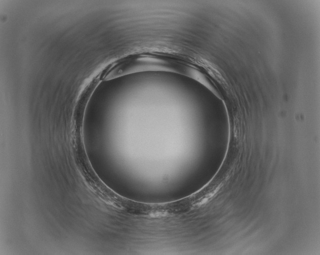 X0000071960388200607141440