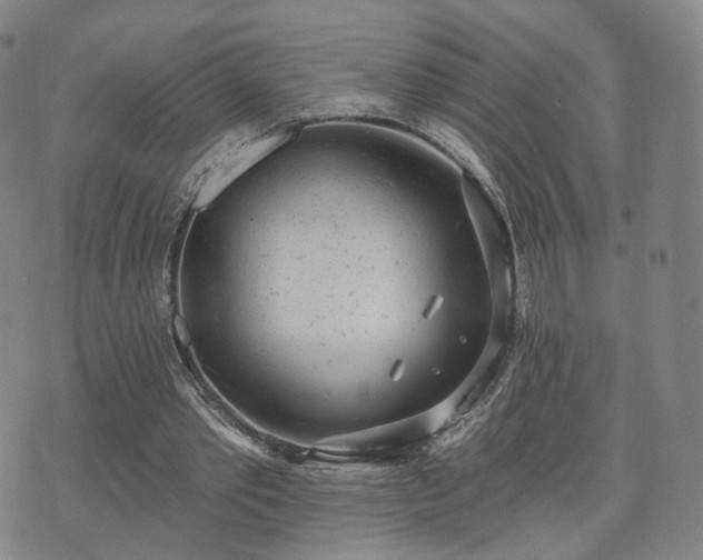 X0000071960389200607141440