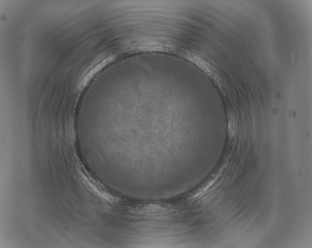 X0000071960390200607141440