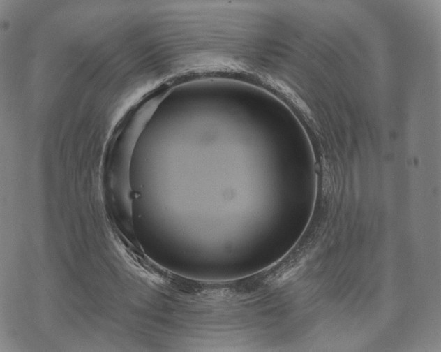 X0000071960391200607141440