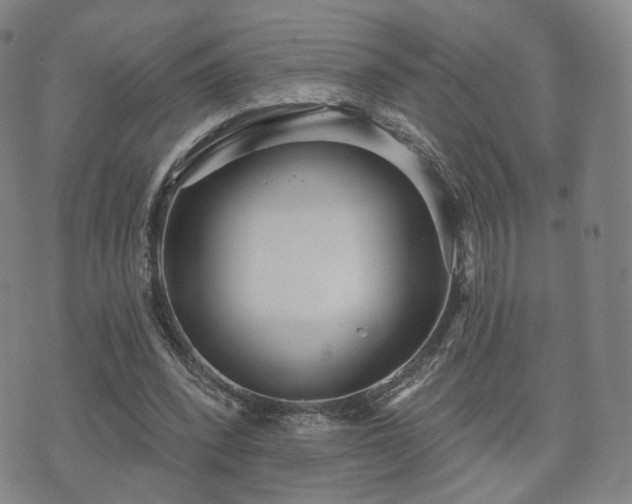 X0000071960392200607141440