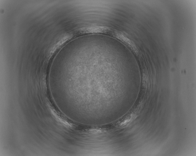 X0000071960394200607141440