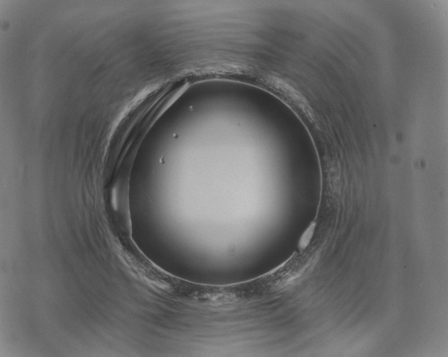 X0000071960395200607141440