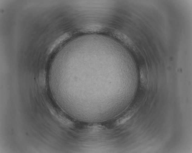 X0000071960396200607141440