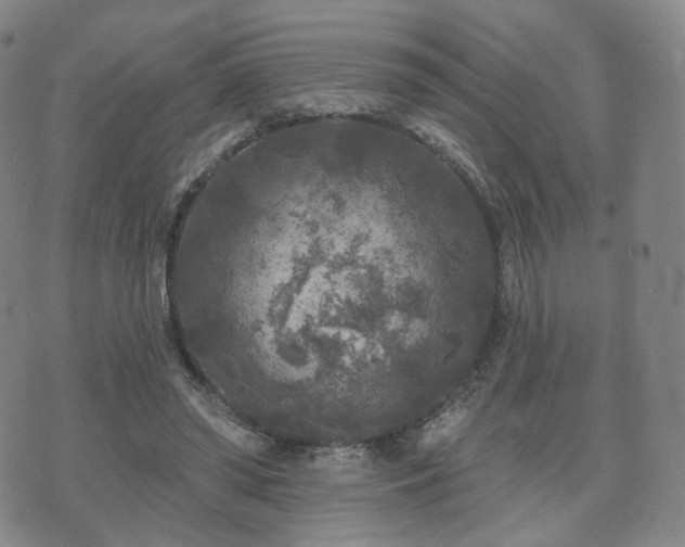 X0000071960398200607141439