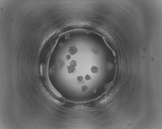 X0000071960399200607141439