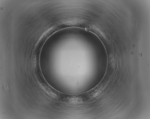 X0000071960400200607141439