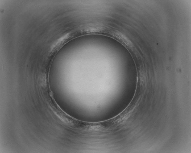 X0000071960401200607141439