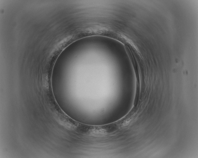 X0000071960403200607141439