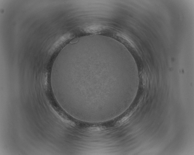 X0000071960404200607141439