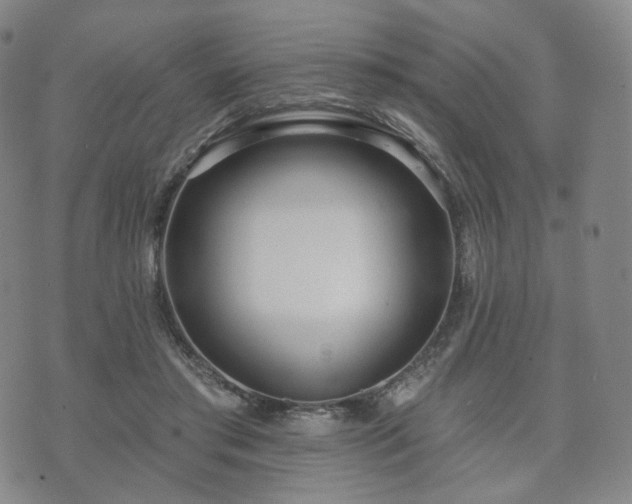 X0000071960405200607141439