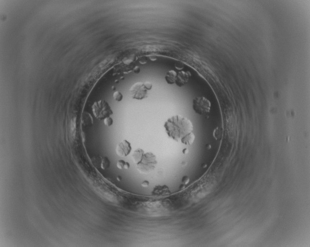 X0000071960406200607141439