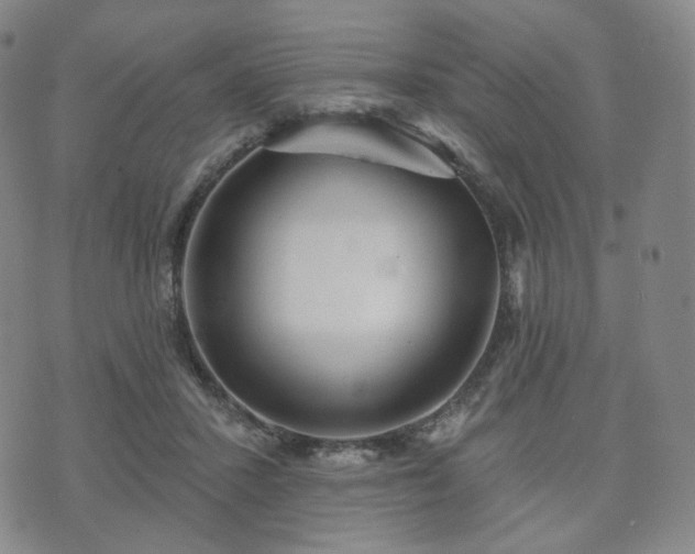 X0000071960407200607141439