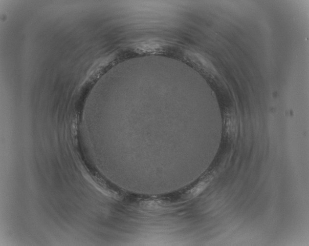 X0000071960408200607141439