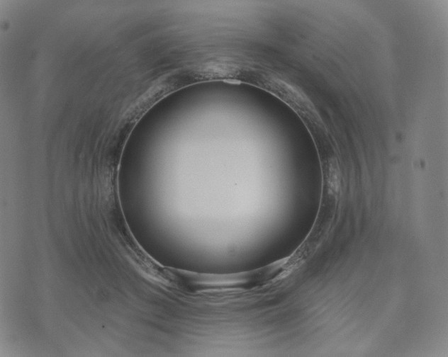 X0000071960409200607141439