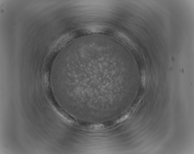 X0000071960410200607141439