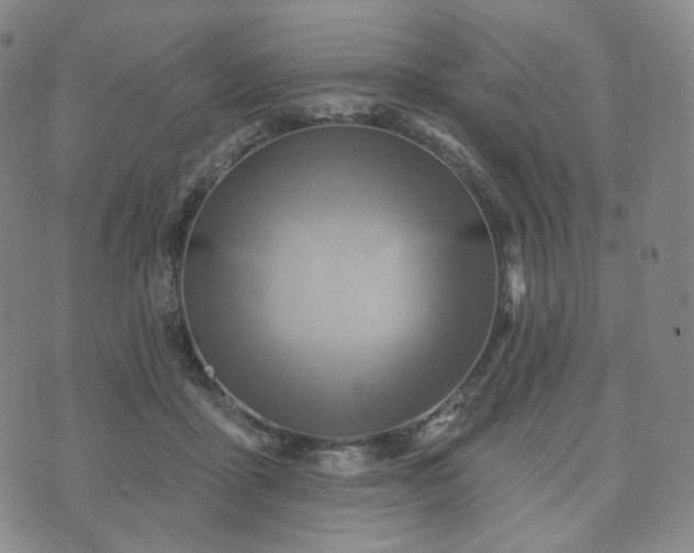 X0000071960411200607141439