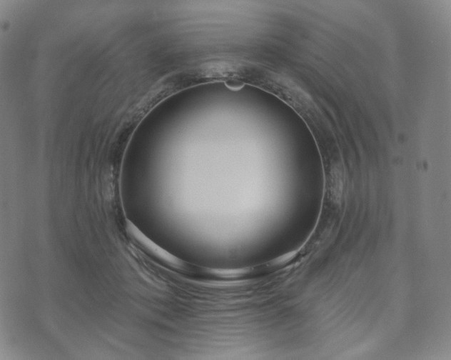 X0000071960413200607141439