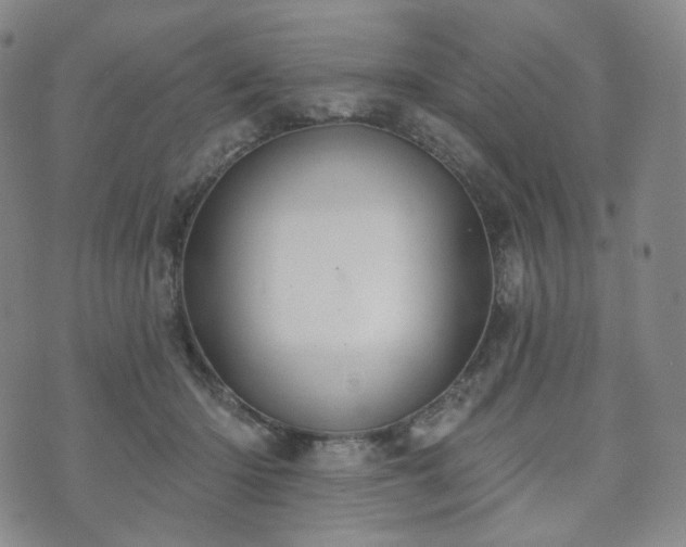 X0000071960414200607141439