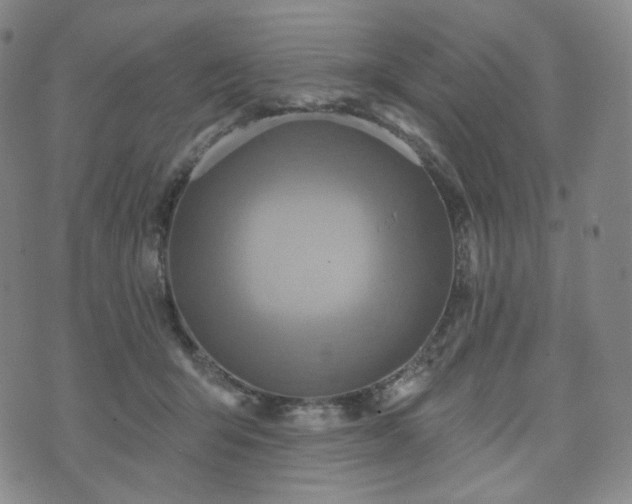 X0000071960415200607141439