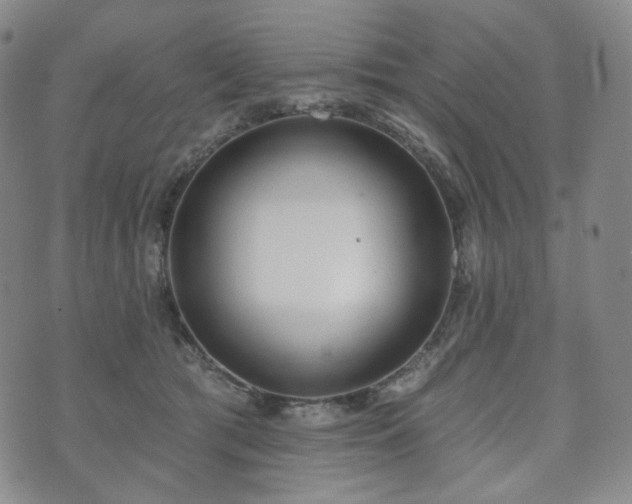 X0000071960417200607141439