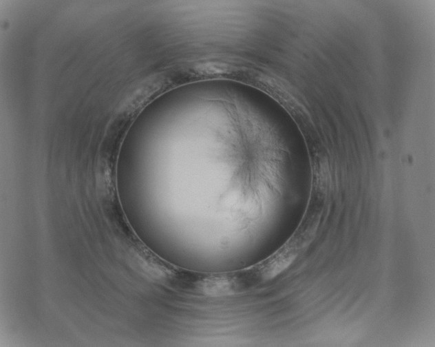 X0000071960418200607141439