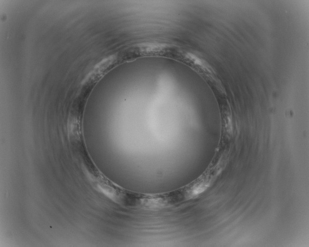 X0000071960419200607141439