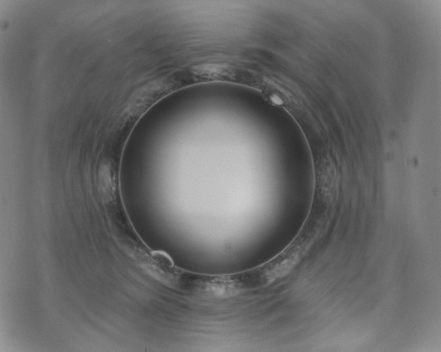 X0000071960420200607141439